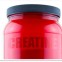 Creatine: What you Need to Know
